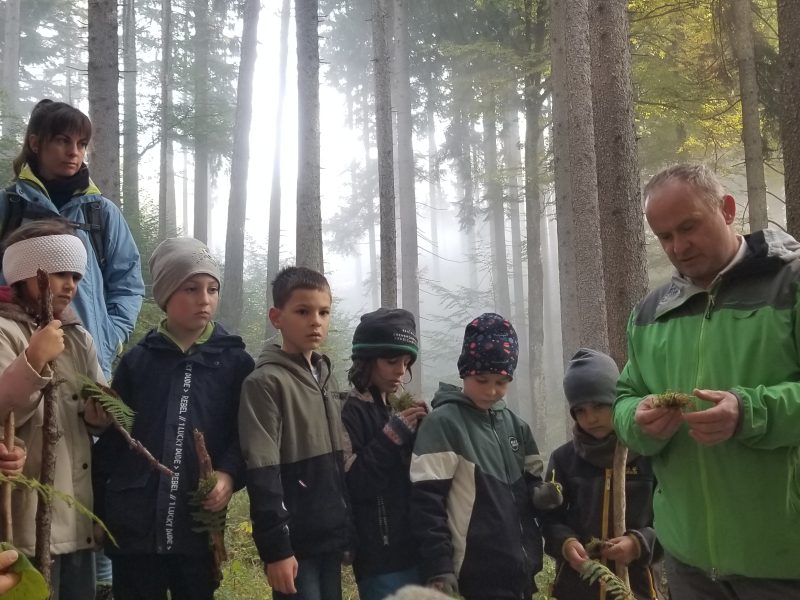 Die zweiten und die dritte Klasse erkunden den Nationalpark Kalkalpen.