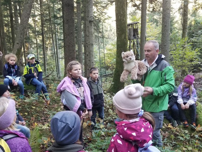Die Kinder erfahren Interessantes über den Luchs.