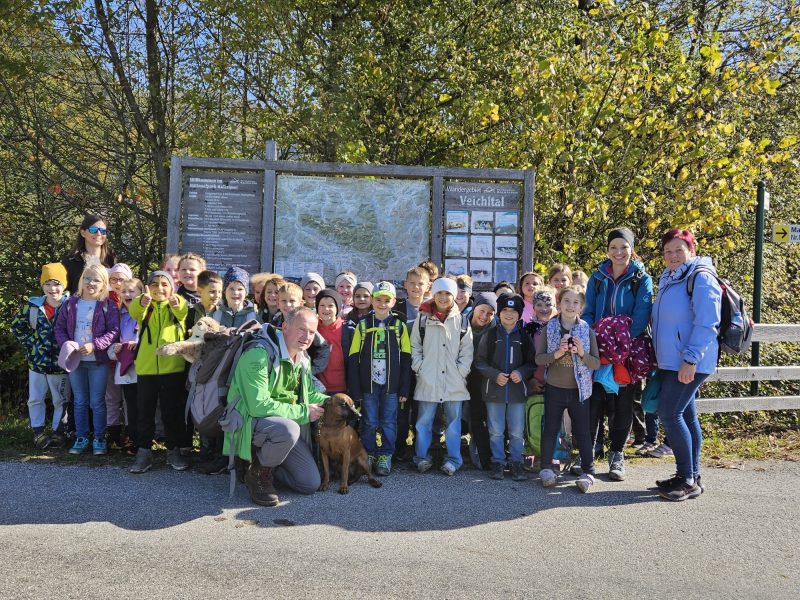Die zweiten und die dritte Klasse erkunden den Nationalpark Kalkalpen.