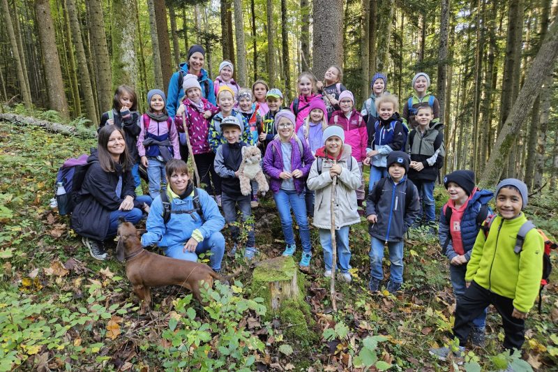Die zweiten und die dritte Klasse erkunden den Nationalpark Kalkalpen.