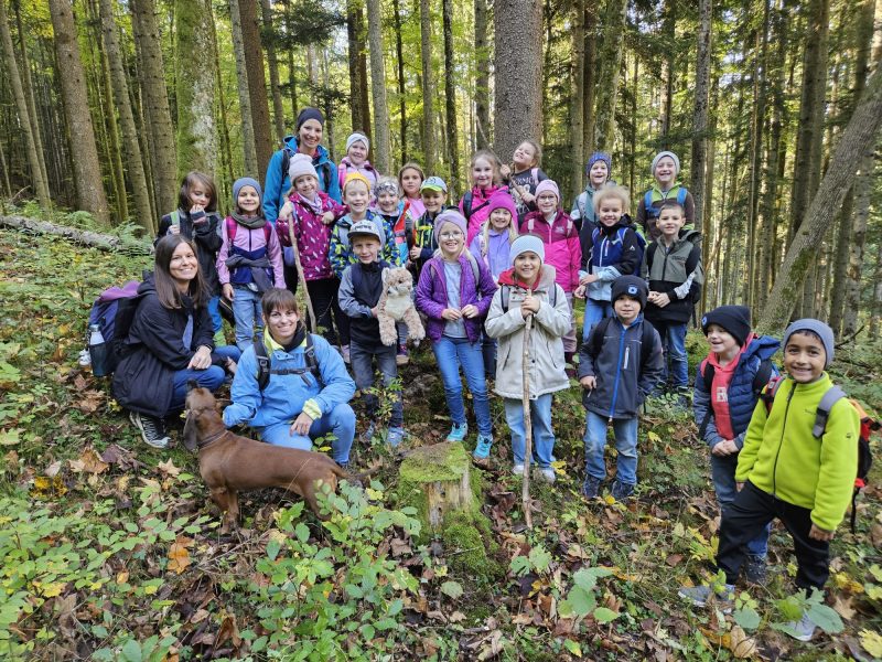 Die zweiten und die dritte Klasse erkunden den Nationalpark Kalkalpen.