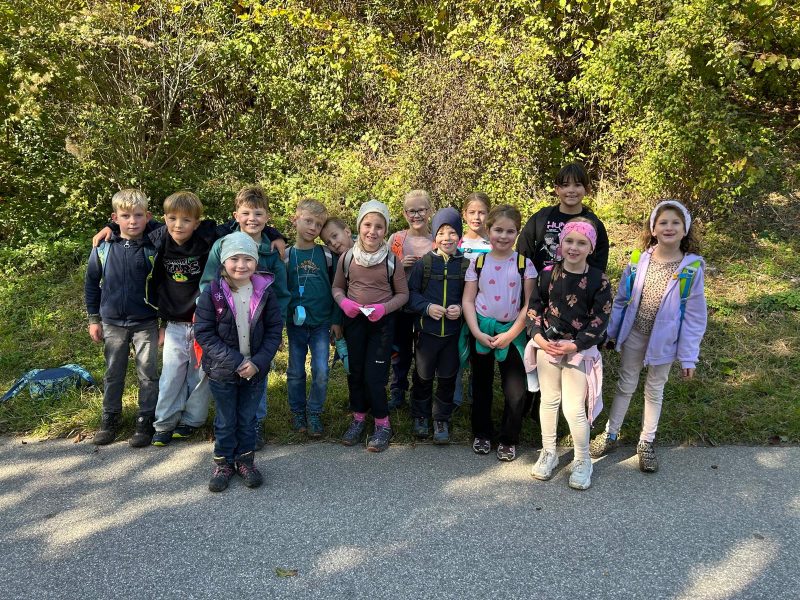 Die zweiten und die dritte Klasse erkunden den Nationalpark Kalkalpen.