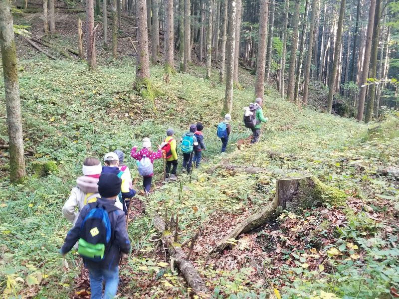 Die zweiten und die dritte Klasse erkunden den Nationalpark Kalkalpen.