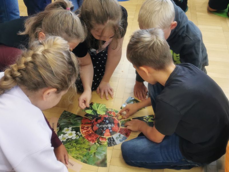 Kinder der 3a arbeiten am Legekreis zum Thema Beeren.