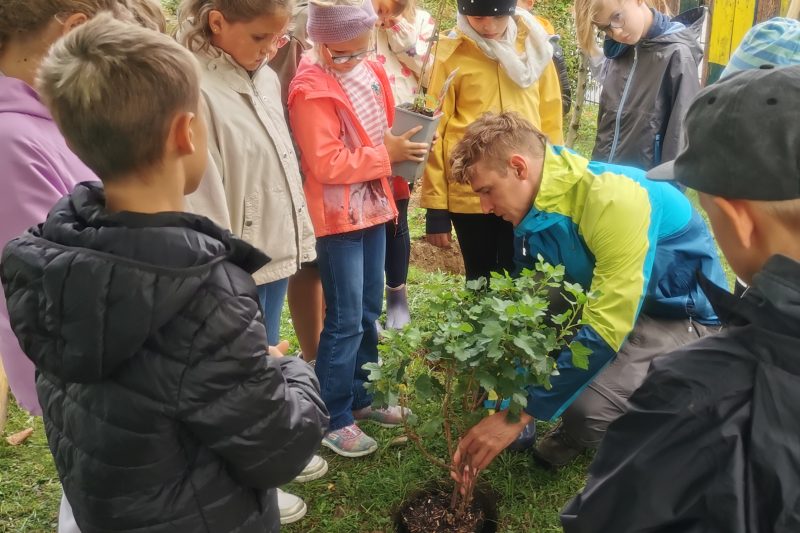 Kinder der 3a lernen, wie man Sträucher pflanzt.