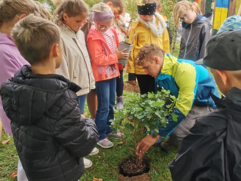 Kinder der 3a lernen, wie man Sträucher pflanzt.