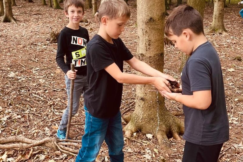 Kinder der 3a sammeln Naturmaterialien im Wald.