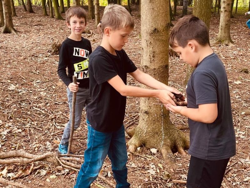 Kinder der 3a sammeln Naturmaterialien im Wald.